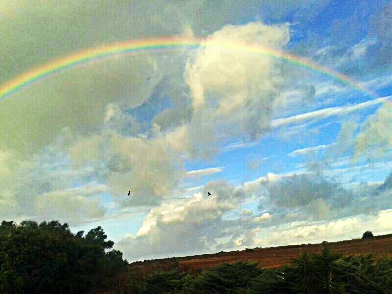 rainbow in hebrew